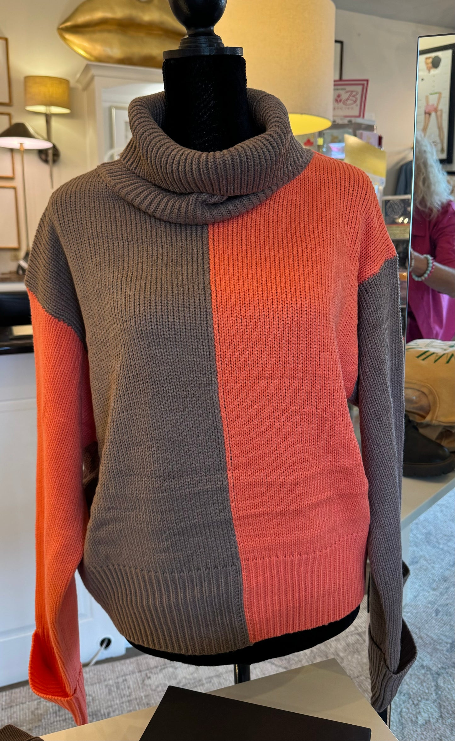 Color Block Turtle Neck Sweater